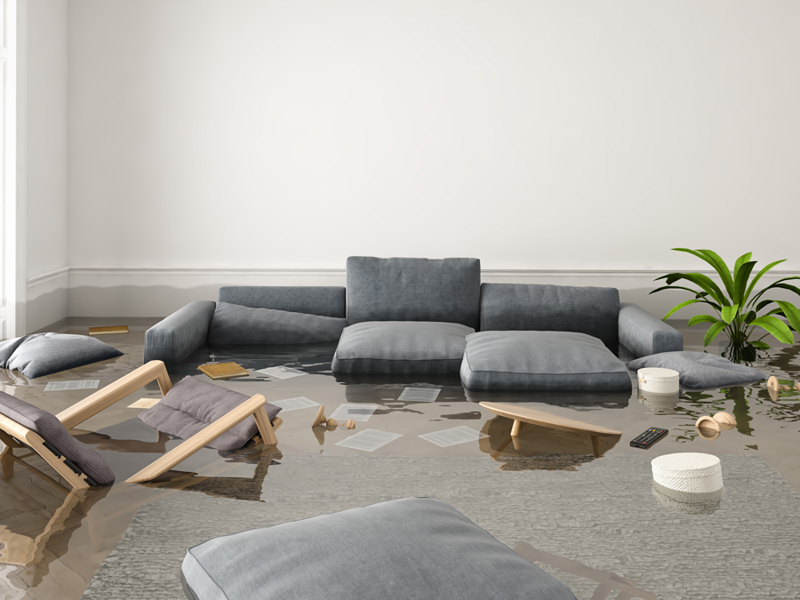 Public Adjusters in Michigan