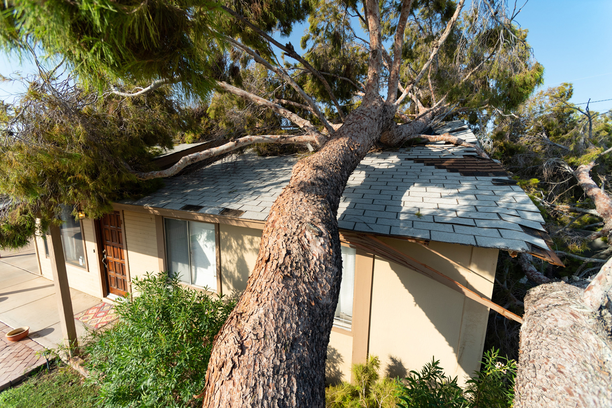 Public Adjusters in Michigan
